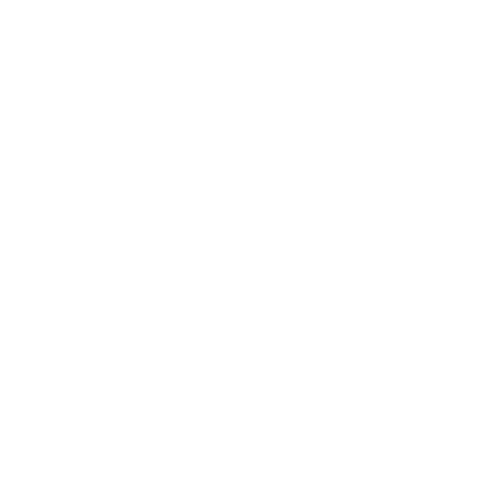 The Clean House Initiative White Logo Lifeline Environmental, LLC